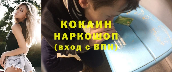 индика Краснотурьинск