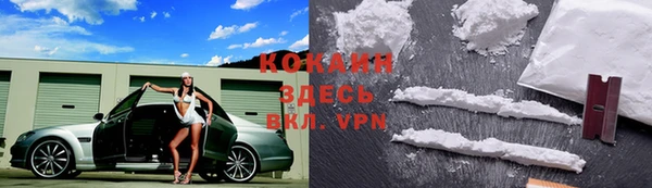 индика Краснотурьинск