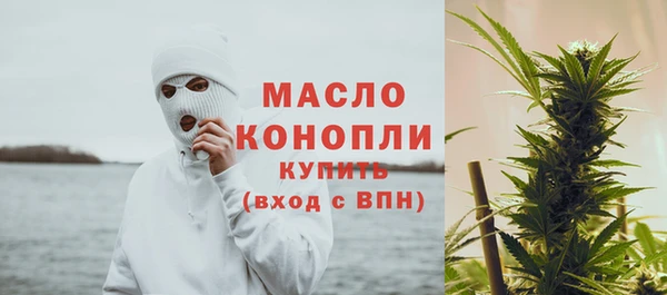 индика Краснотурьинск