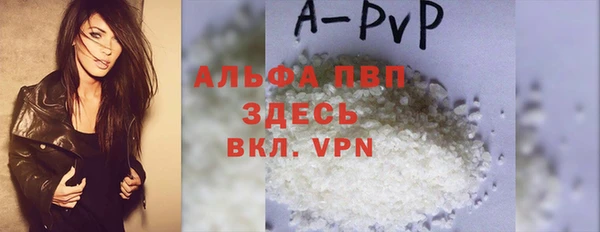 индика Краснотурьинск