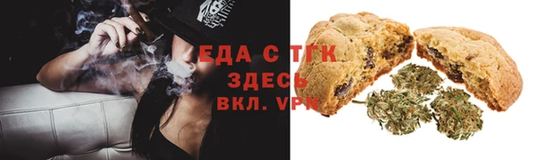 индика Краснотурьинск
