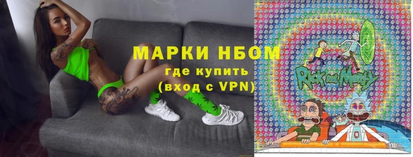 индика Краснотурьинск