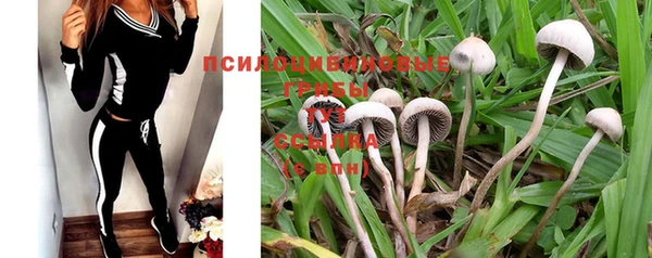 mix Краснослободск