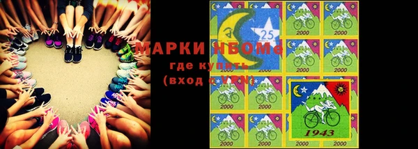 индика Краснотурьинск