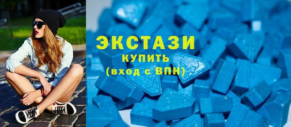 индика Краснотурьинск