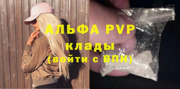 индика Краснотурьинск